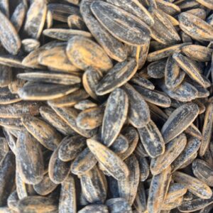 Pipas grandes con sal