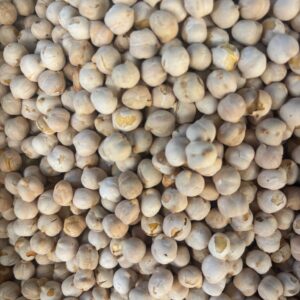 Garbanzos tostados pequeños sin sal